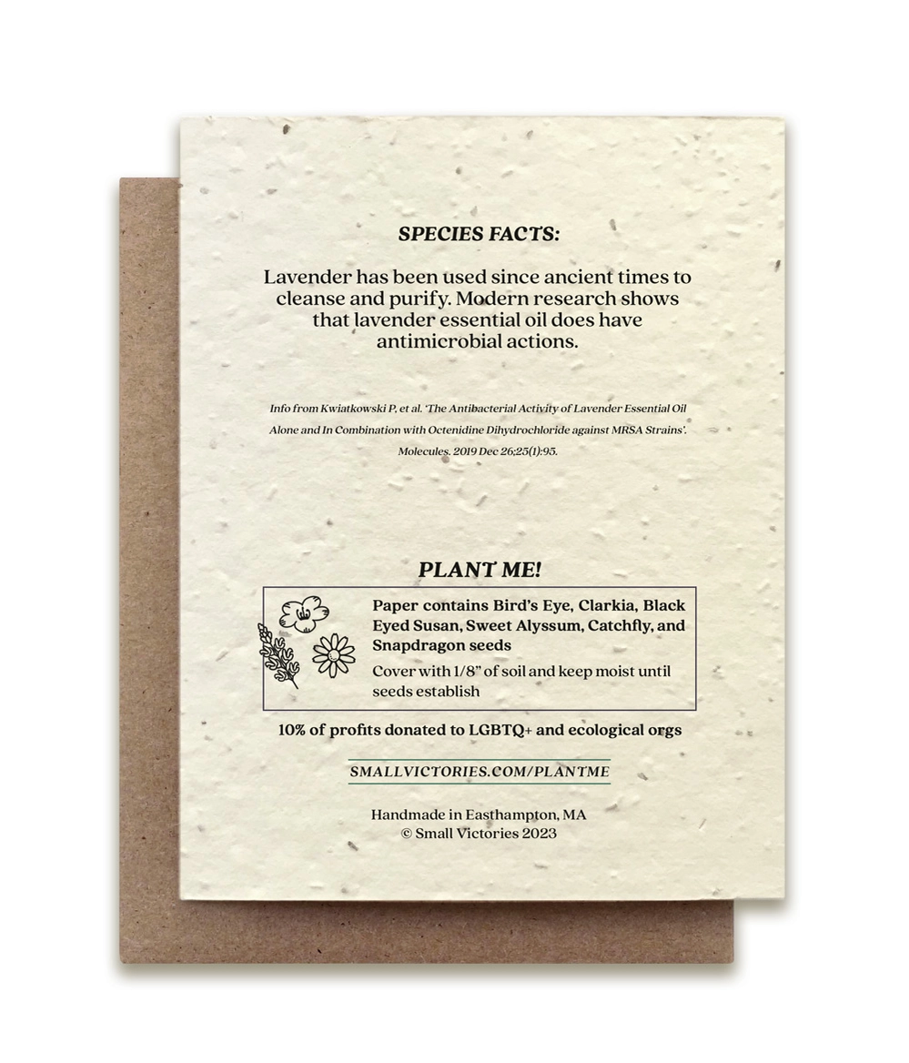 cards with wildflower seeds SMALL VICTORIES