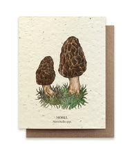 Load image into Gallery viewer, SMALL VICTORIES | Plantable Wildflower Seed Card