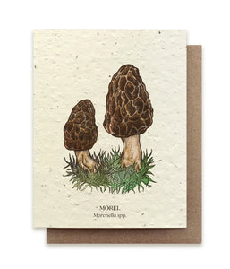 SMALL VICTORIES | Plantable Wildflower Seed Card