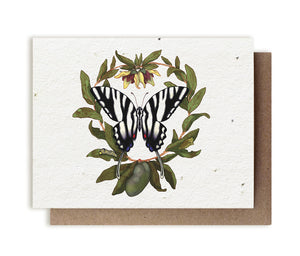 SMALL VICTORIES | Plantable Herb Seed Card