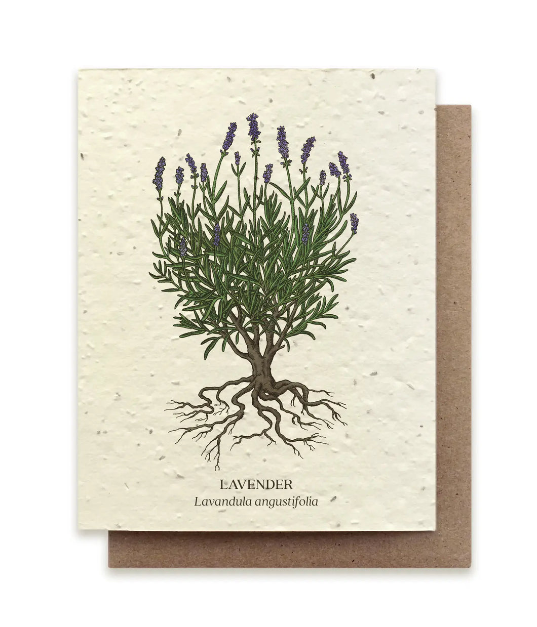 SMALL VICTORIES | Plantable Wildflower Seed Card