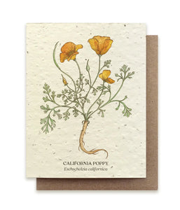 SMALL VICTORIES | Plantable Wildflower Seed Card