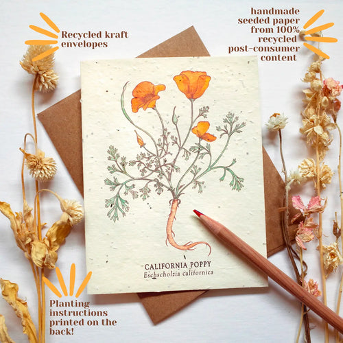SMALL VICTORIES | Plantable Herb Seed Card
