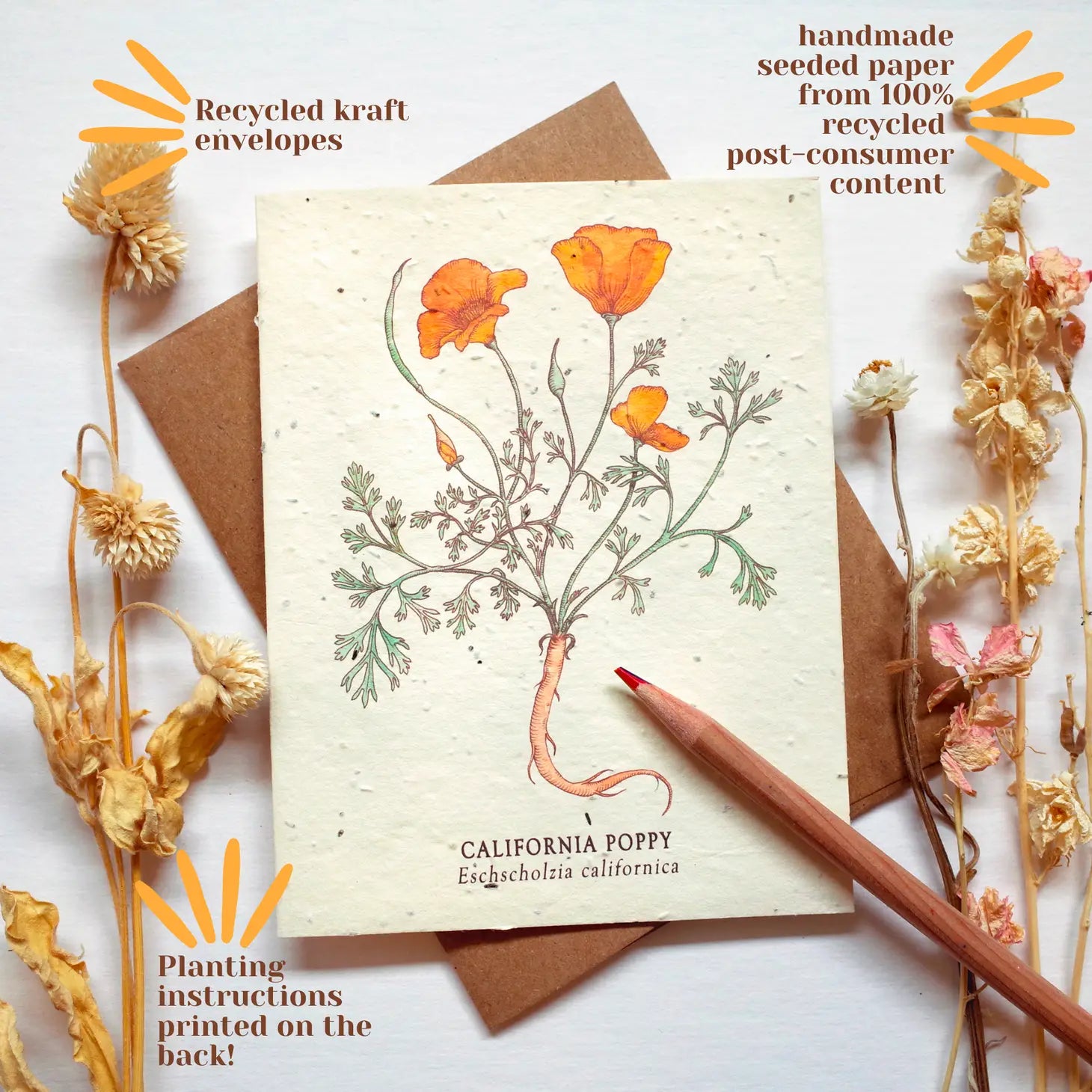 flower seed greeting cards SMALL VICTORIES