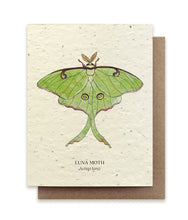 Load image into Gallery viewer, SMALL VICTORIES | Plantable Wildflower Seed Card