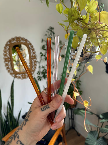 SWIGGY STRAWS | Glass Straw -Straight