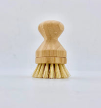 Load image into Gallery viewer, ZEFIRO | Soft Bristle Dish Scrubber with Replacement Head