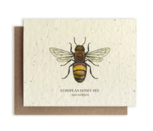 Load image into Gallery viewer, SMALL VICTORIES | Plantable Wildflower Seed Card
