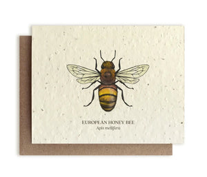 SMALL VICTORIES | Plantable Wildflower Seed Card
