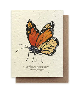 SMALL VICTORIES | Plantable Wildflower Seed Card
