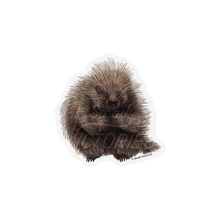 Load image into Gallery viewer, SMALL VICTORIES | Eco-Stickers