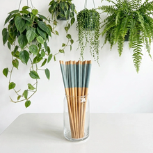 Load image into Gallery viewer, BAMBOO SWITCH | Bamboo Chopsticks (set of 2)