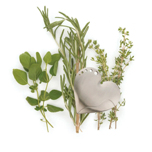 Load image into Gallery viewer, RSVP | Stainless Steel Herb Stripper