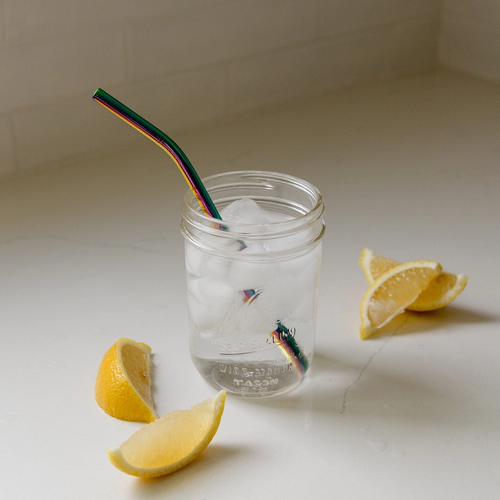 ZWS ESSENTIALS | Stainless Steel Straws - Bent or Straight