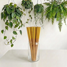 Load image into Gallery viewer, BAMBOO SWITCH | Bamboo Chopsticks (set of 2)
