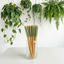 Load image into Gallery viewer, BAMBOO SWITCH | Bamboo Chopsticks (set of 2)