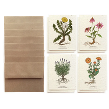 Load image into Gallery viewer, SMALL VICTORIES  | Medicinal Plants Card Set - Plantable Wildflower Seed Paper