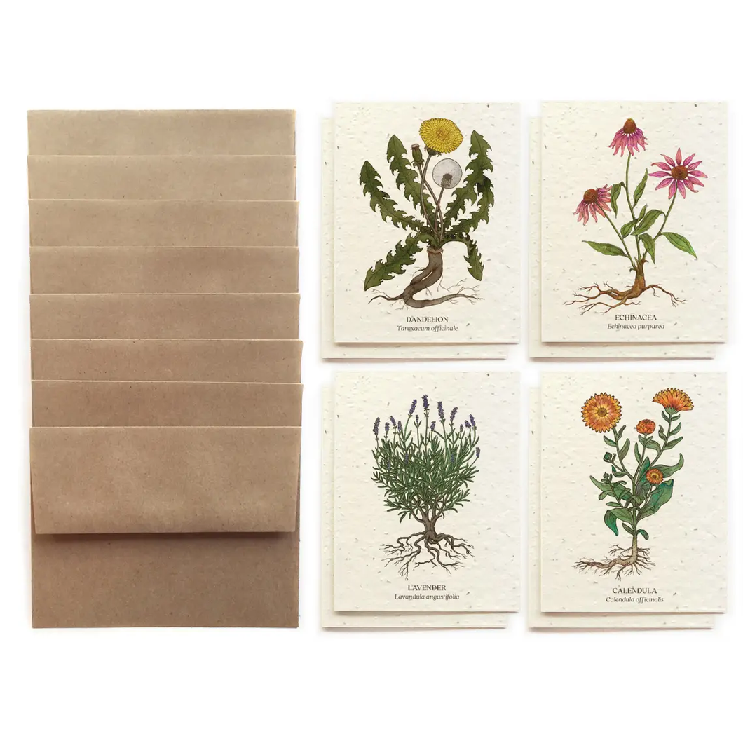 SMALL VICTORIES  | Medicinal Plants Card Set - Plantable Wildflower Seed Paper