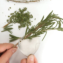 Load image into Gallery viewer, RSVP | Stainless Steel Herb Stripper