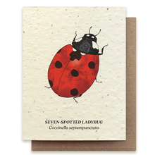 Load image into Gallery viewer, SMALL VICTORIES | Plantable Wildflower Seed Card