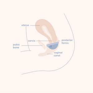 SAALT | Menstrual Disc Duo Pack