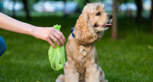 BEYONDGREEN | Planet Digestible Dog Poop Bags - roll of 15