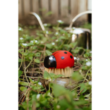 Load image into Gallery viewer, ZEFIRO | Ladybug Brush