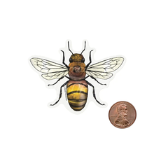 Load image into Gallery viewer, SMALL VICTORIES | Eco-Stickers