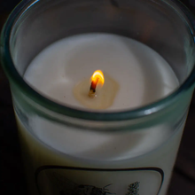 Load image into Gallery viewer, SEA WITCH BOTANICALS | SOY CANDLE