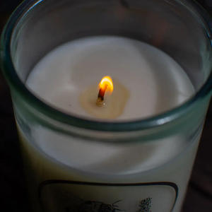 SEA WITCH BOTANICALS | SOY CANDLE
