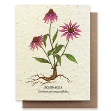Load image into Gallery viewer, SMALL VICTORIES | Plantable Wildflower Seed Card