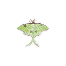Load image into Gallery viewer, SMALL VICTORIES | Eco-Stickers