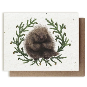 SMALL VICTORIES | Plantable  Herb Seed Holiday Cards