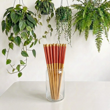 Load image into Gallery viewer, BAMBOO SWITCH | Bamboo Chopsticks (set of 2)