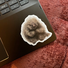 Load image into Gallery viewer, SMALL VICTORIES | Eco-Stickers