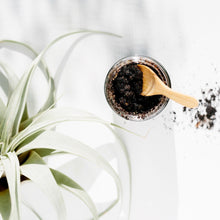 Load image into Gallery viewer, URBAN OREGANICS | Coffee Scrub