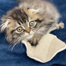 Load image into Gallery viewer, BOBA&amp;VESPA | Stingray Cat Toy