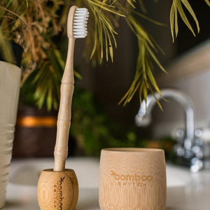 BAMBOO SWITCH | Bamboo Toothbrush Stand